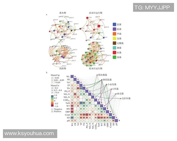 成都足球队在大师赛中的速度优势分析与表现点评