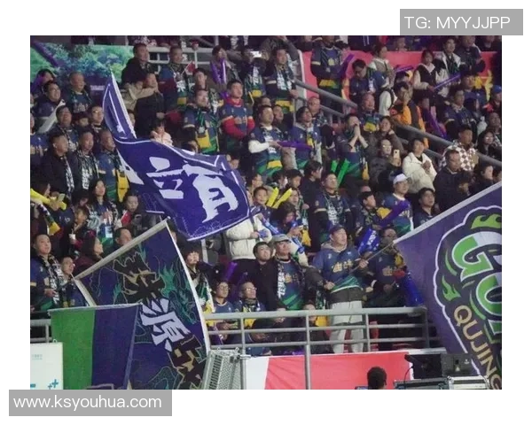 曲靖足球明星阵容全解析及其成就回顾与发展前景展望